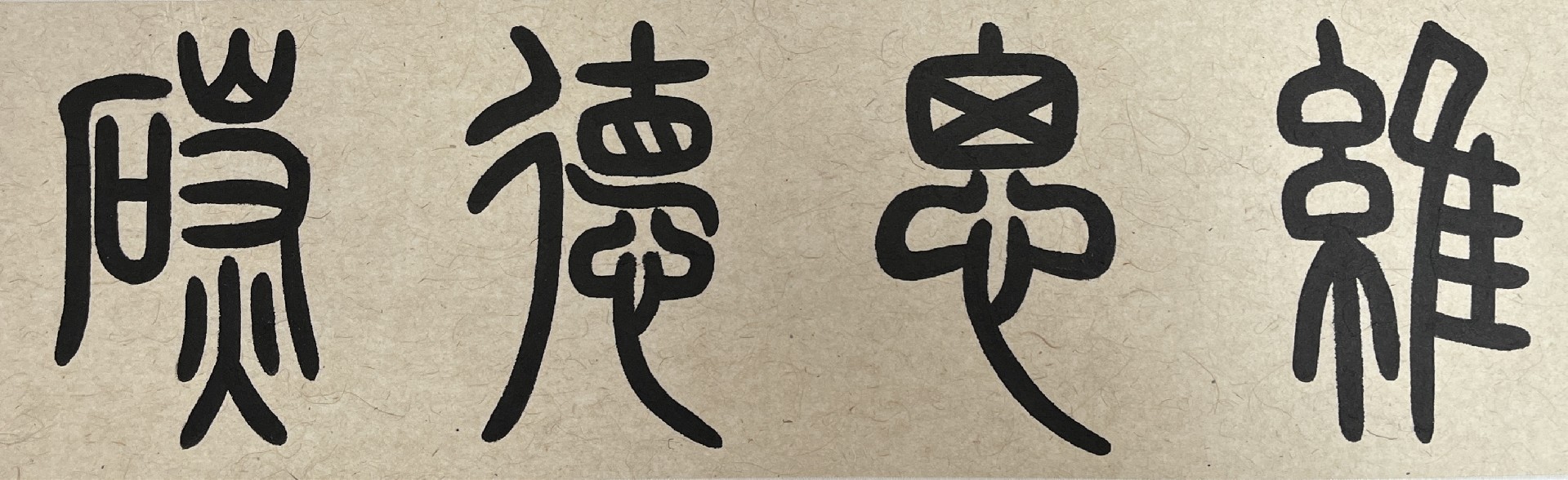 公司动态